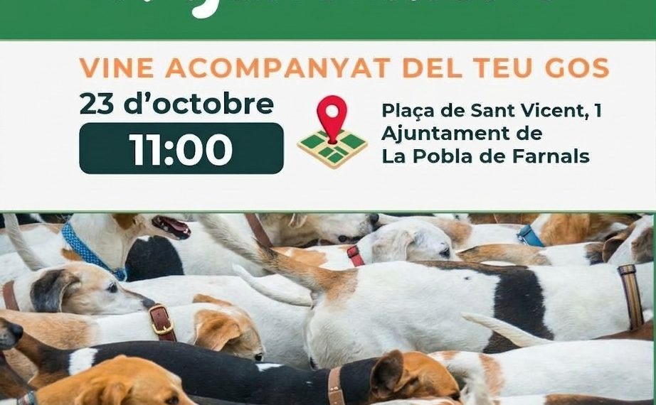 La Pobla de Farnals será el primer municipio valenciano en integrar PetFirst para digitalizar la información de las mascotas