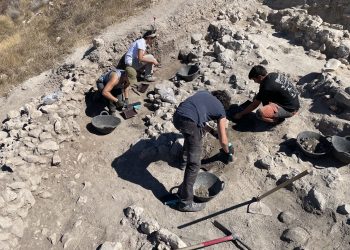 Nuevos hallazgos arqueológicos del MARQ en El Tabayá de Aspe