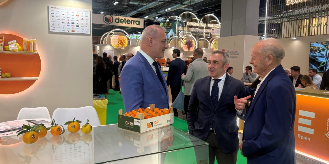 Los cítricos valencianos despiertan el interés de una quincena de países en Fruit Attraction 2026