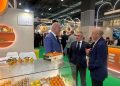 Los cítricos valencianos despiertan el interés de una quincena de países en Fruit Attraction 2026