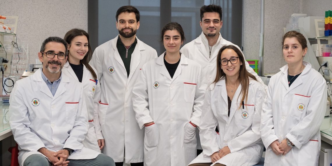 Investigadores de la CEU UCH y la Universidad de Oxford identifican el papel clave de la microbiota en la capacidad de las bacterias del género Listeria para colonizar diferentes órganos