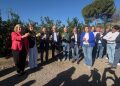 La producción de limón en la Comunitat Valenciana crecerá un 9,4 % en la campaña 2026/2027