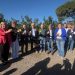 La producción de limón en la Comunitat Valenciana crecerá un 9,4 % en la campaña 2026/2027